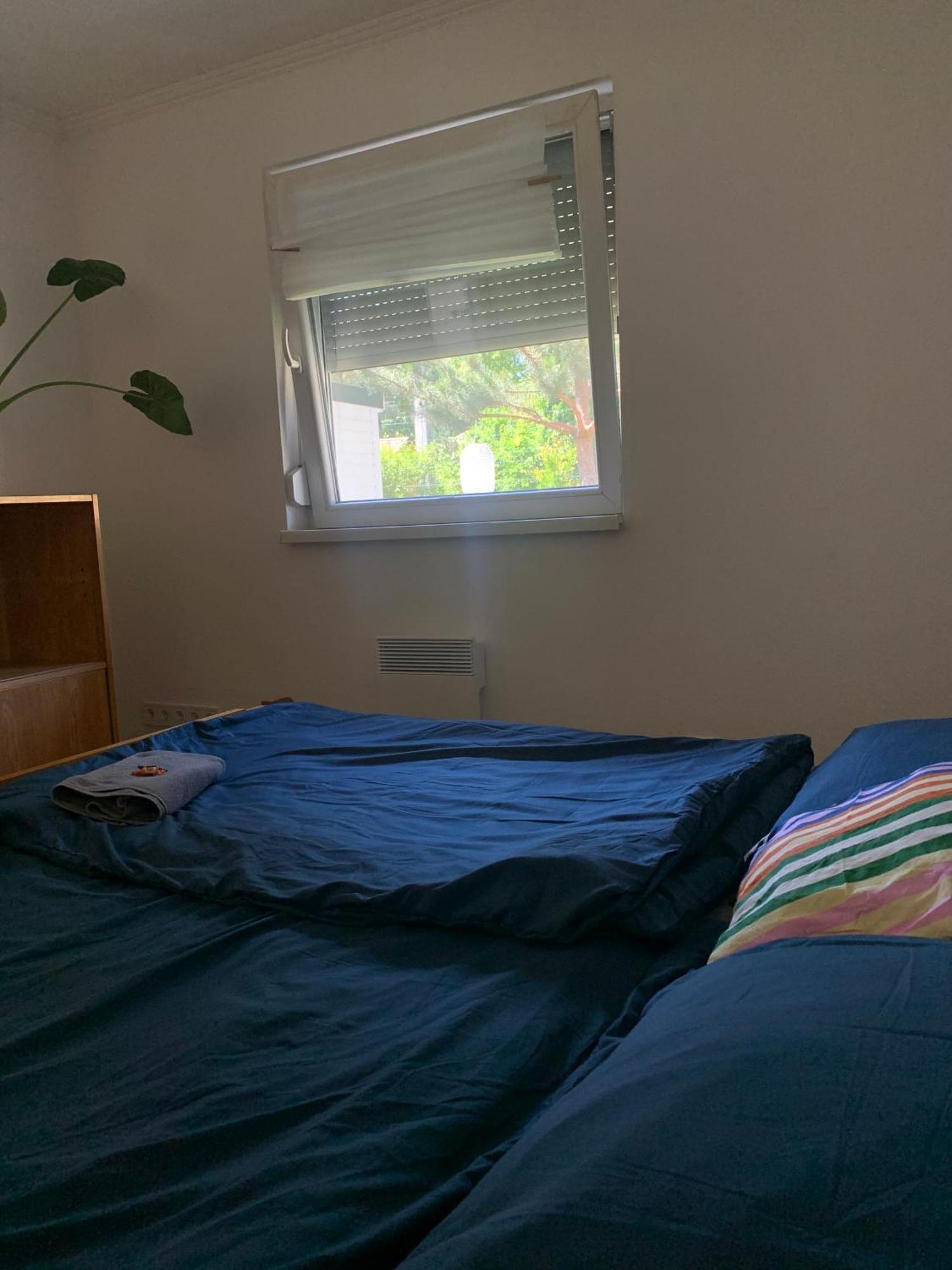 SzigetmonostorMarika Vendeghaz别墅 外观 照片